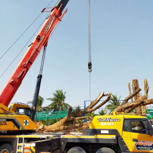 รถเครน-เช่ารถเครน